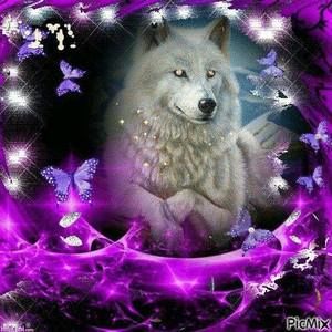 Meet your Posher, Melody